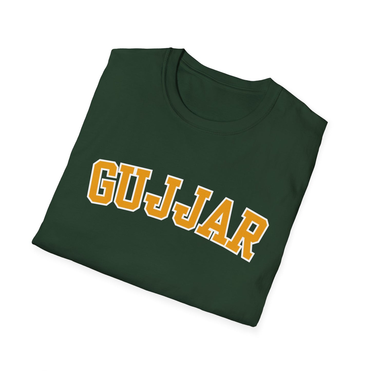 BHUPINDER GUJJAR COLLEGE T-SHIRT
