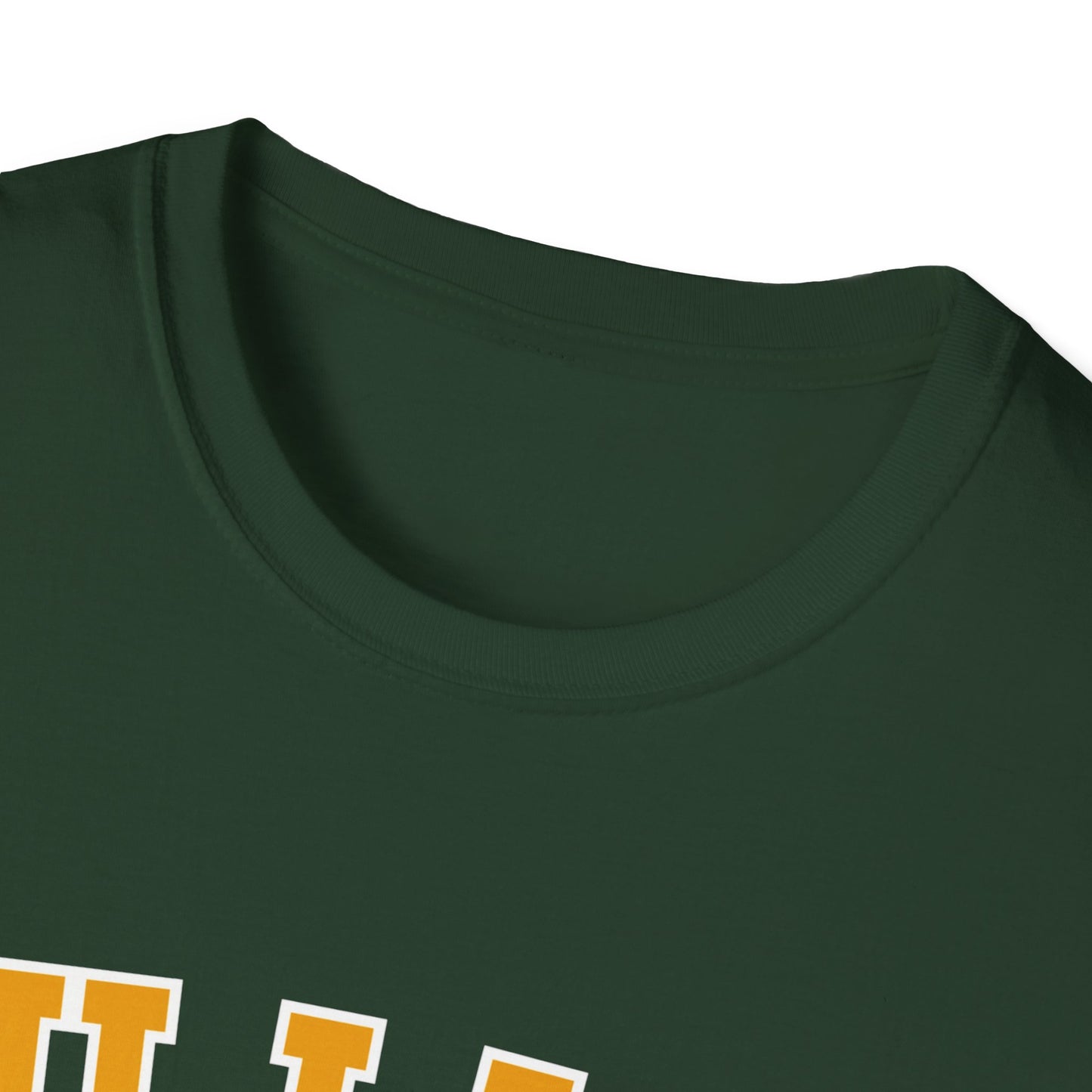 BHUPINDER GUJJAR COLLEGE T-SHIRT
