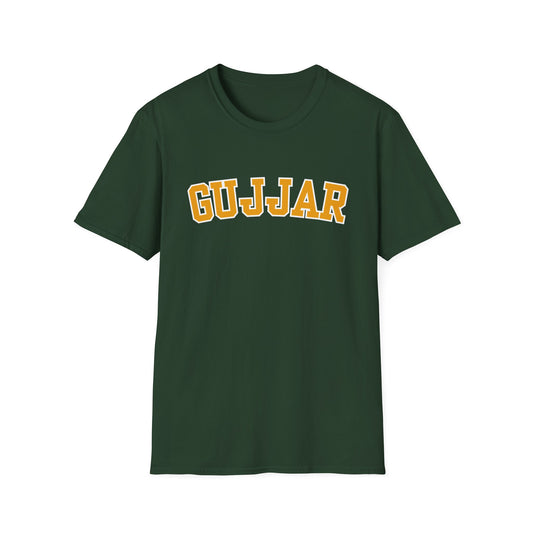 BHUPINDER GUJJAR COLLEGE T-SHIRT